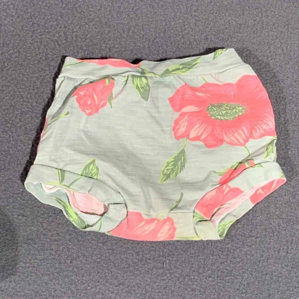 Baileys Blossoms Baby Girl Floral Dress‎ and Bloomers Set Sage Pink 6-9M